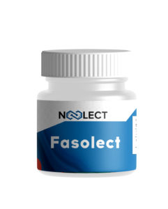 Fasoracetam (Фасорацетам) 5 грамм фото