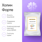 Холин Форте (Choline Forte) 60 капсул фото 1 уменьшенное
