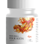 4 Гриба 60 капсул для повышения качества жизни фото 1 уменьшенное