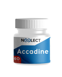 Accadine AC-262 60 капсул фото
