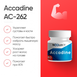 Accadine AC-262 60 капсул фото