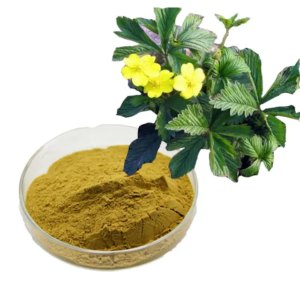 Дамиана лист (арбутин 0.6%) 50гр фото